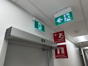 IMG_1882